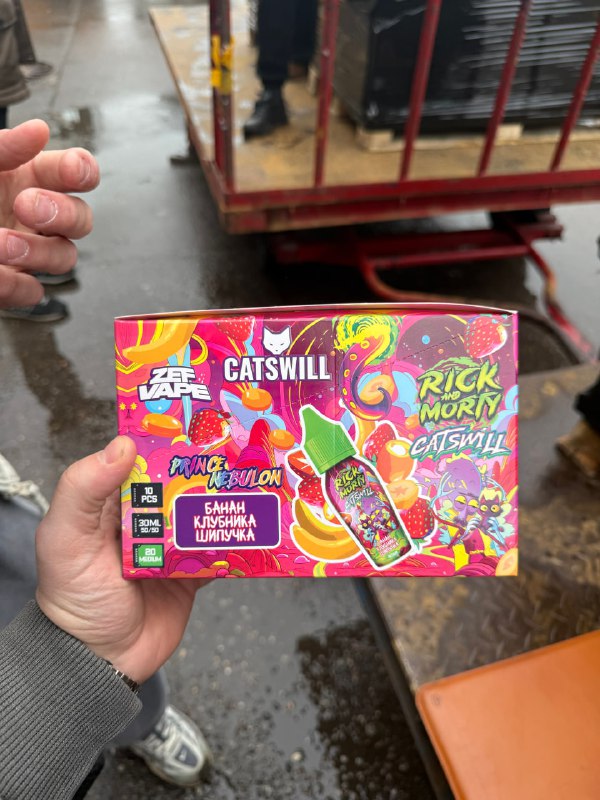 Catswill & Rick And Morty 2%